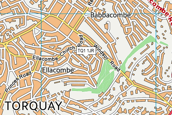 TQ1 1JR map - OS VectorMap District (Ordnance Survey)