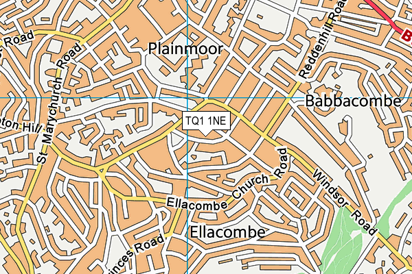 TQ1 1NE map - OS VectorMap District (Ordnance Survey)
