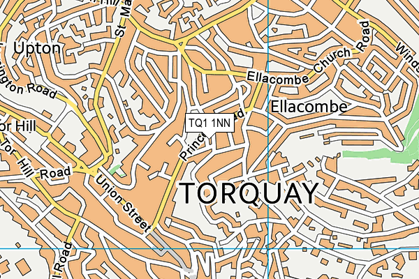TQ1 1NN map - OS VectorMap District (Ordnance Survey)