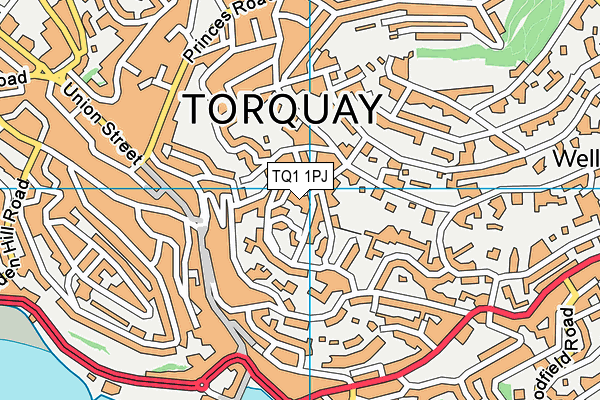 TQ1 1PJ map - OS VectorMap District (Ordnance Survey) TQ1 1PJ map - OS VectorMap District (Ordnance Survey)