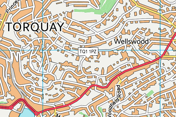 TQ1 1PZ map - OS VectorMap District (Ordnance Survey) TQ1 1PZ map - OS VectorMap District (Ordnance Survey)