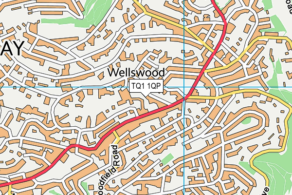 TQ1 1QP map - OS VectorMap District (Ordnance Survey) TQ1 1QP map - OS VectorMap District (Ordnance Survey)