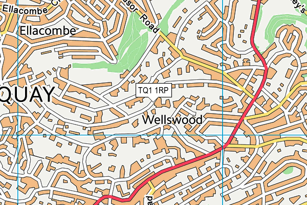 TQ1 1RP map - OS VectorMap District (Ordnance Survey)