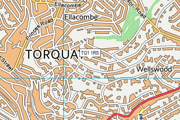 TQ1 1RS map - OS VectorMap District (Ordnance Survey) TQ1 1RS map - OS VectorMap District (Ordnance Survey)