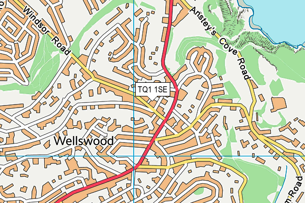 TQ1 1SE map - OS VectorMap District (Ordnance Survey)