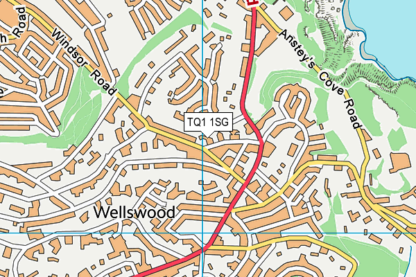 TQ1 1SG map - OS VectorMap District (Ordnance Survey) TQ1 1SG map - OS VectorMap District (Ordnance Survey)