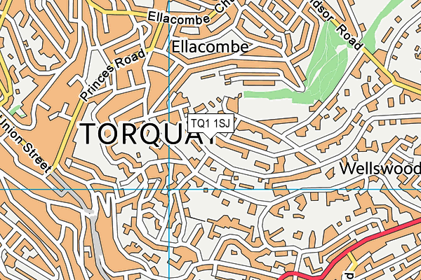 TQ1 1SJ map - OS VectorMap District (Ordnance Survey) TQ1 1SJ map - OS VectorMap District (Ordnance Survey)