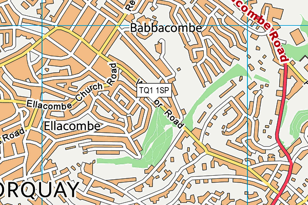 TQ1 1SP map - OS VectorMap District (Ordnance Survey) TQ1 1SP map - OS VectorMap District (Ordnance Survey)
