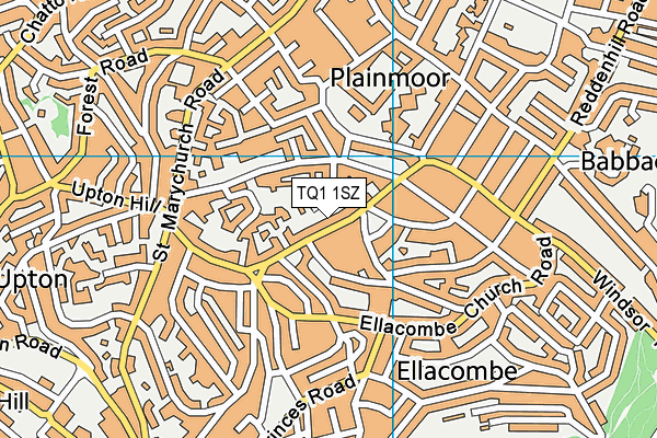 TQ1 1SZ map - OS VectorMap District (Ordnance Survey)