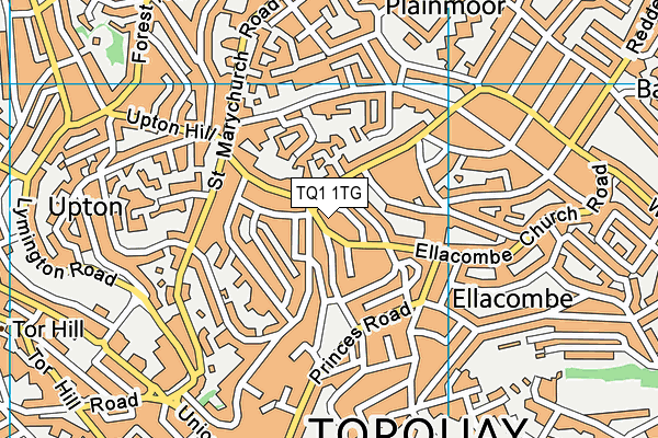 TQ1 1TG map - OS VectorMap District (Ordnance Survey) TQ1 1TG map - OS VectorMap District (Ordnance Survey)