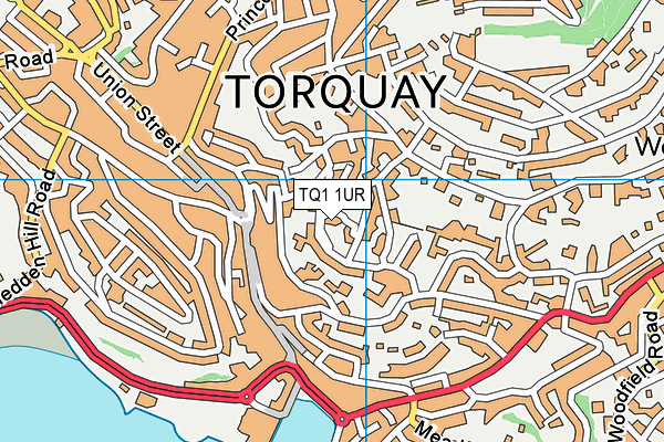 TQ1 1UR map - OS VectorMap District (Ordnance Survey) TQ1 1UR map - OS VectorMap District (Ordnance Survey)