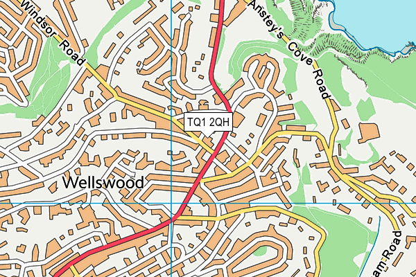 TQ1 2QH map - OS VectorMap District (Ordnance Survey)