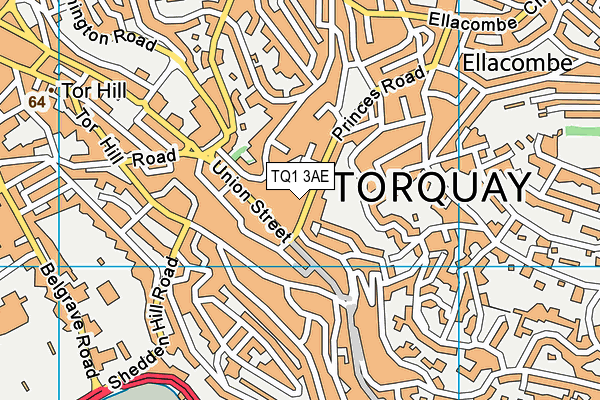 TQ1 3AE map - OS VectorMap District (Ordnance Survey) TQ1 3AE map - OS VectorMap District (Ordnance Survey)