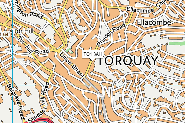 TQ1 3AH map - OS VectorMap District (Ordnance Survey) TQ1 3AH map - OS VectorMap District (Ordnance Survey)