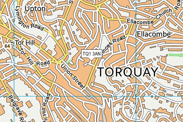 TQ1 3AN map - OS VectorMap District (Ordnance Survey) TQ1 3AN map - OS VectorMap District (Ordnance Survey)
