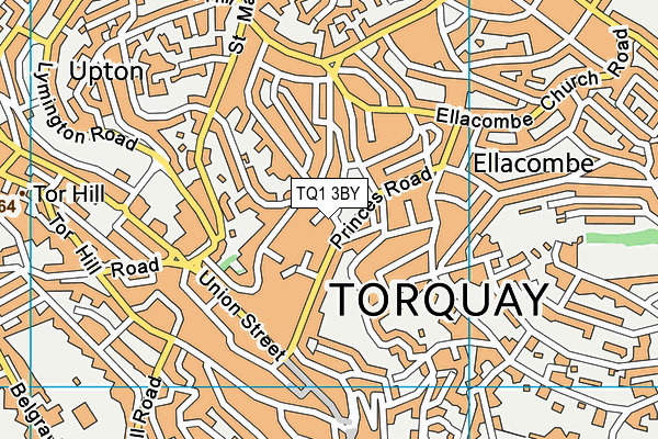 TQ1 3BY map - OS VectorMap District (Ordnance Survey) TQ1 3BY map - OS VectorMap District (Ordnance Survey)