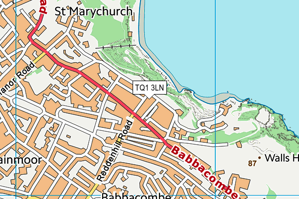 TQ1 3LN map - OS VectorMap District (Ordnance Survey) TQ1 3LN map - OS VectorMap District (Ordnance Survey)