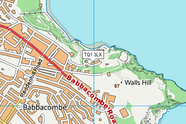 TQ1 3LX map - OS VectorMap District (Ordnance Survey) TQ1 3LX map - OS VectorMap District (Ordnance Survey)