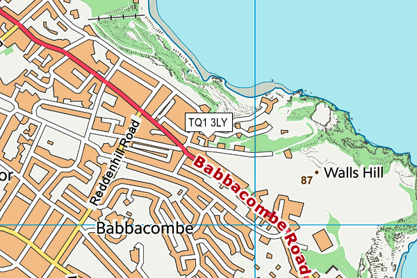 TQ1 3LY map - OS VectorMap District (Ordnance Survey) TQ1 3LY map - OS VectorMap District (Ordnance Survey)