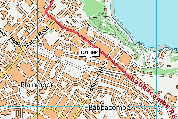TQ1 3NP map - OS VectorMap District (Ordnance Survey) TQ1 3NP map - OS VectorMap District (Ordnance Survey)