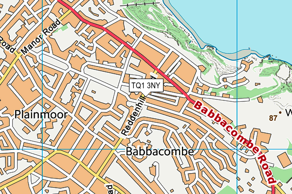 TQ1 3NY map - OS VectorMap District (Ordnance Survey)
