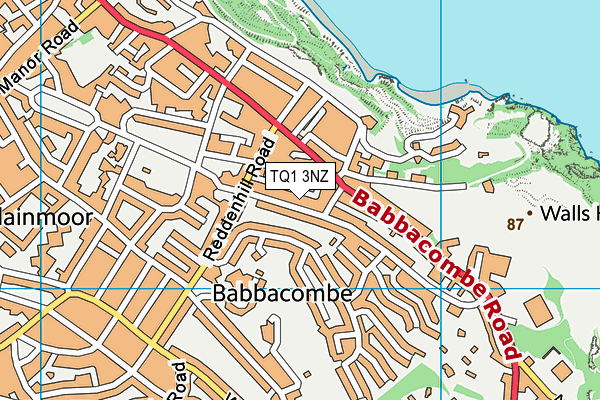 TQ1 3NZ map - OS VectorMap District (Ordnance Survey) TQ1 3NZ map - OS VectorMap District (Ordnance Survey)