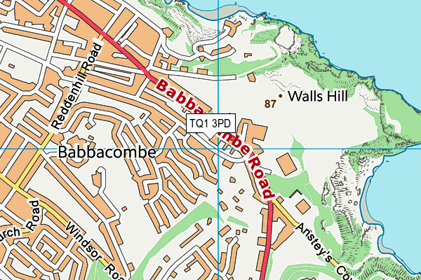 TQ1 3PD map - OS VectorMap District (Ordnance Survey)