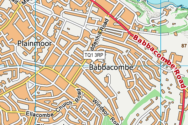 TQ1 3RP map - OS VectorMap District (Ordnance Survey) TQ1 3RP map - OS VectorMap District (Ordnance Survey)