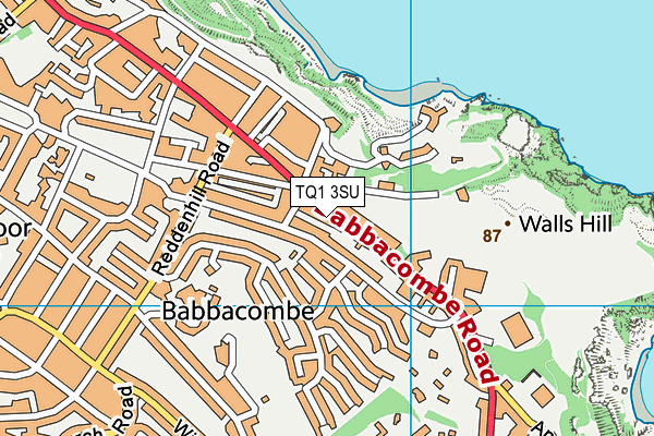 TQ1 3SU map - OS VectorMap District (Ordnance Survey) TQ1 3SU map - OS VectorMap District (Ordnance Survey)