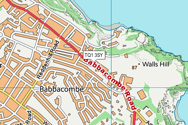 TQ1 3SY map - OS VectorMap District (Ordnance Survey) TQ1 3SY map - OS VectorMap District (Ordnance Survey)