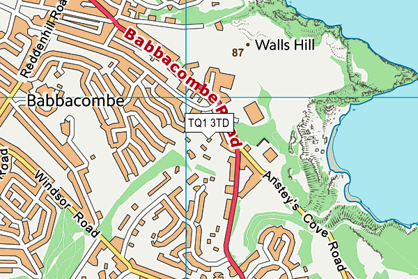 TQ1 3TD map - OS VectorMap District (Ordnance Survey) TQ1 3TD map - OS VectorMap District (Ordnance Survey)