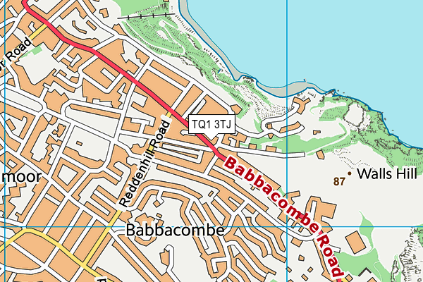 TQ1 3TJ map - OS VectorMap District (Ordnance Survey) TQ1 3TJ map - OS VectorMap District (Ordnance Survey)