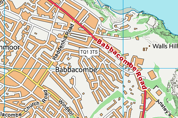 TQ1 3TS map - OS VectorMap District (Ordnance Survey) TQ1 3TS map - OS VectorMap District (Ordnance Survey)