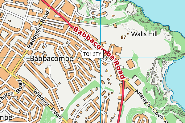 TQ1 3TY map - OS VectorMap District (Ordnance Survey) TQ1 3TY map - OS VectorMap District (Ordnance Survey)