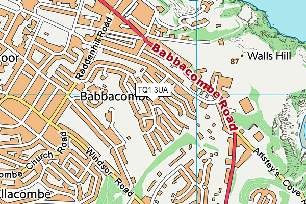TQ1 3UA map - OS VectorMap District (Ordnance Survey)