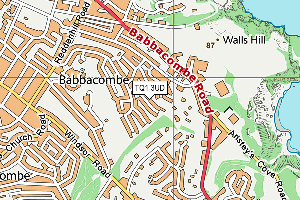 TQ1 3UD map - OS VectorMap District (Ordnance Survey)