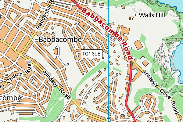 TQ1 3UE map - OS VectorMap District (Ordnance Survey)