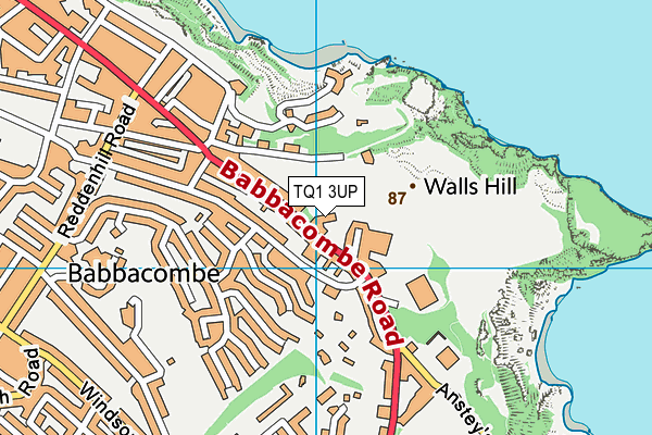 TQ1 3UP map - OS VectorMap District (Ordnance Survey) TQ1 3UP map - OS VectorMap District (Ordnance Survey)