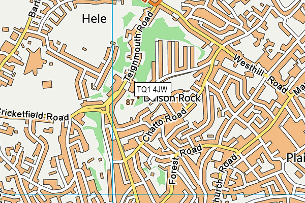 TQ1 4JW map - OS VectorMap District (Ordnance Survey) TQ1 4JW map - OS VectorMap District (Ordnance Survey)