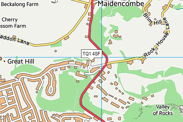 TQ1 4SF map - OS VectorMap District (Ordnance Survey) TQ1 4SF map - OS VectorMap District (Ordnance Survey)