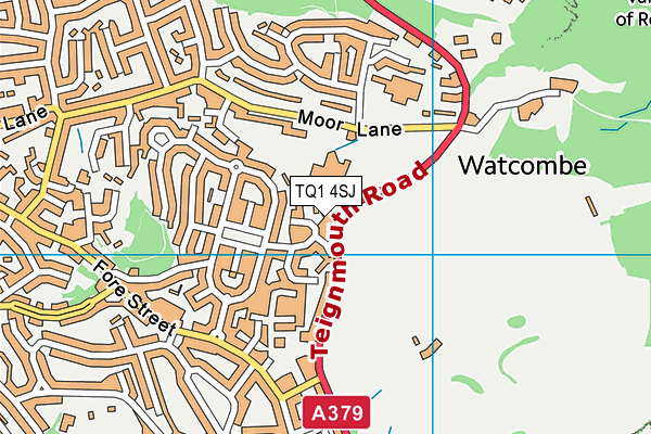 TQ1 4SJ map - OS VectorMap District (Ordnance Survey)