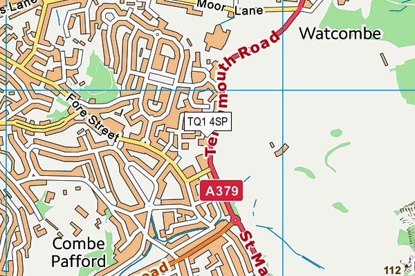 TQ1 4SP map - OS VectorMap District (Ordnance Survey) TQ1 4SP map - OS VectorMap District (Ordnance Survey)