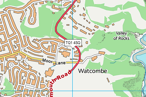 TQ1 4SQ map - OS VectorMap District (Ordnance Survey) TQ1 4SQ map - OS VectorMap District (Ordnance Survey)