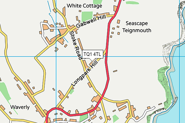 TQ1 4TL map - OS VectorMap District (Ordnance Survey) TQ1 4TL map - OS VectorMap District (Ordnance Survey)