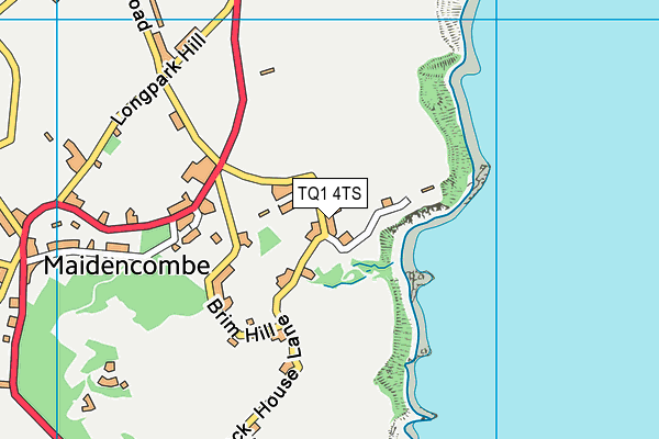 TQ1 4TS map - OS VectorMap District (Ordnance Survey) TQ1 4TS map - OS VectorMap District (Ordnance Survey)
