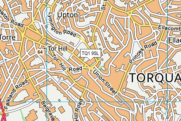 TQ1 9SL map - OS VectorMap District (Ordnance Survey)