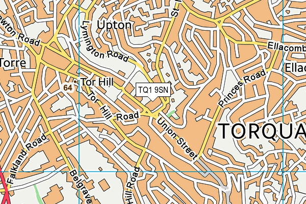 TQ1 9SN map - OS VectorMap District (Ordnance Survey) TQ1 9SN map - OS VectorMap District (Ordnance Survey)