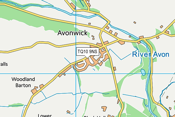 TQ10 9NS map - OS VectorMap District (Ordnance Survey)