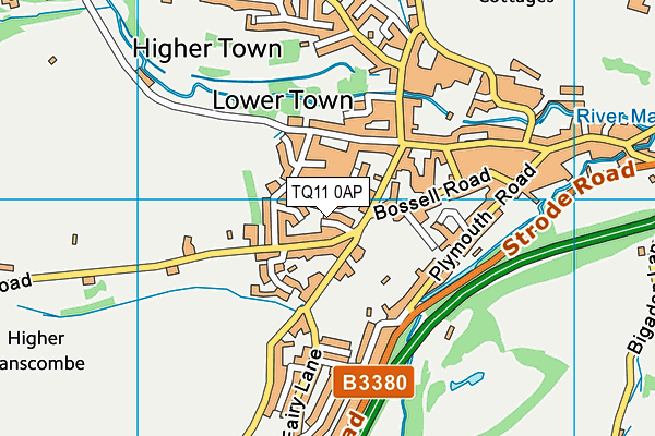TQ11 0AP map - OS VectorMap District (Ordnance Survey) TQ11 0AP map - OS VectorMap District (Ordnance Survey)