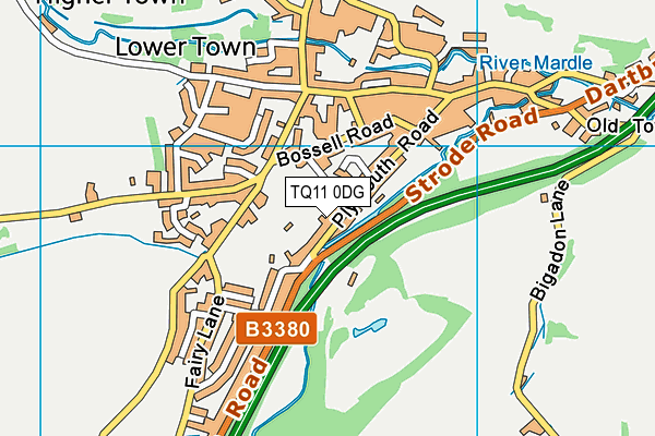 TQ11 0DG map - OS VectorMap District (Ordnance Survey)